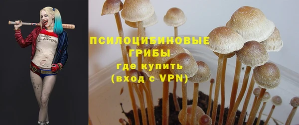 таблы Алзамай