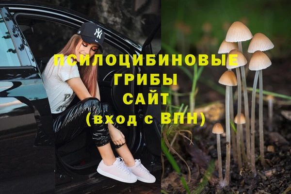 ECSTASY Алексин