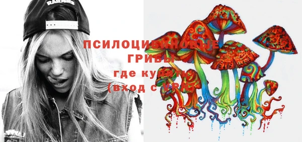 ECSTASY Алексин