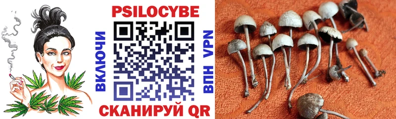 Псилоцибиновые грибы MAGIC MUSHROOMS Алушта