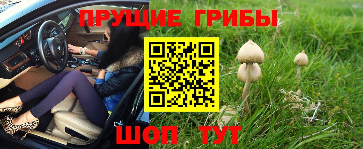Галлюциногенные грибы мицелий Алушта